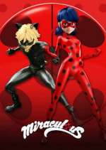 Miraculous: Les aventures de Ladybug et Chat Noir